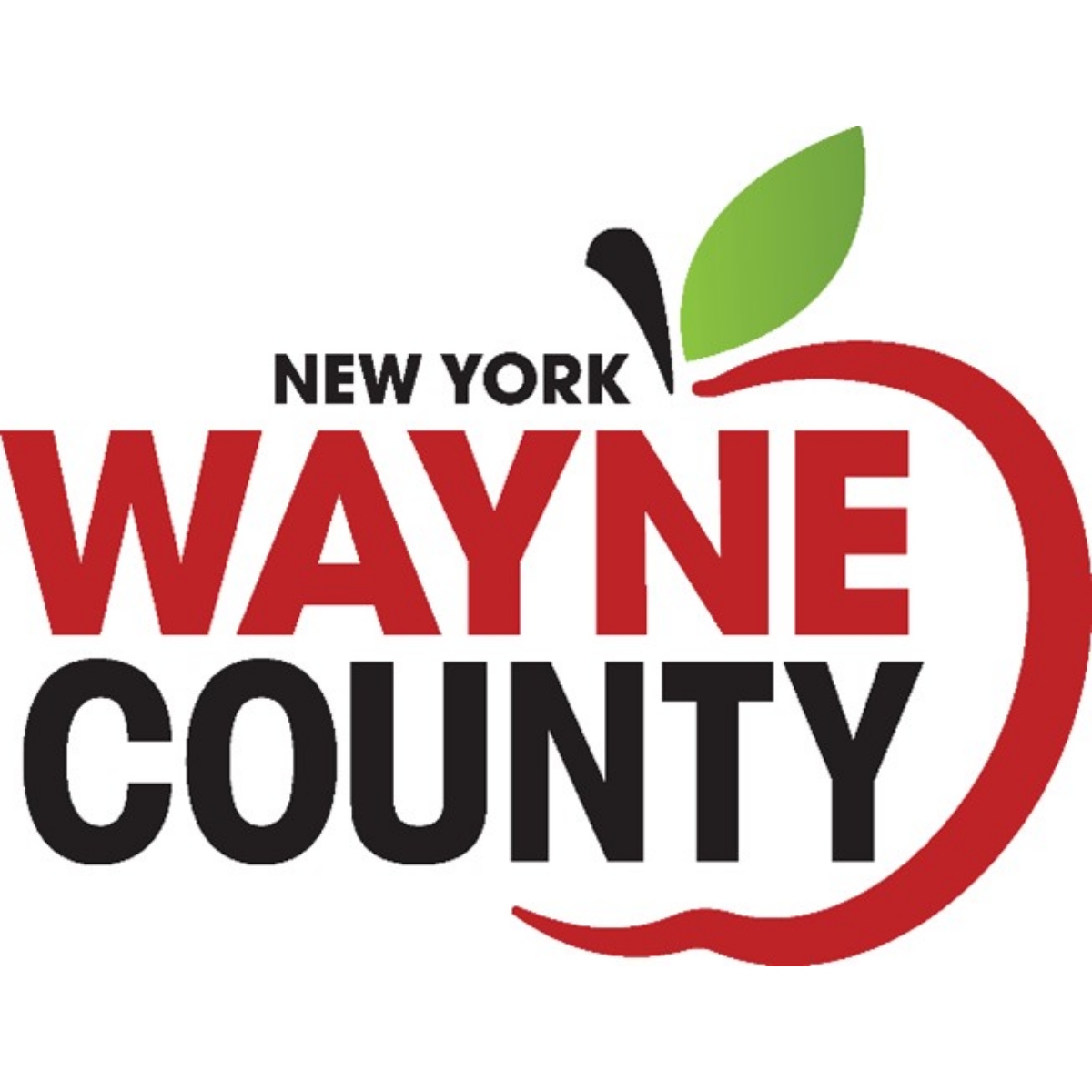 County of Wayne, NY bids
